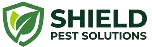 Shieldlogo-removebg-preview 1
